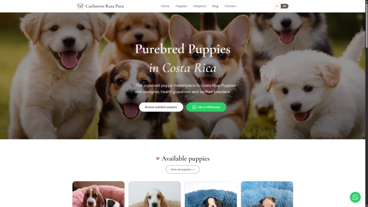 Inventario, leads y ventas — todo en un solo lugar