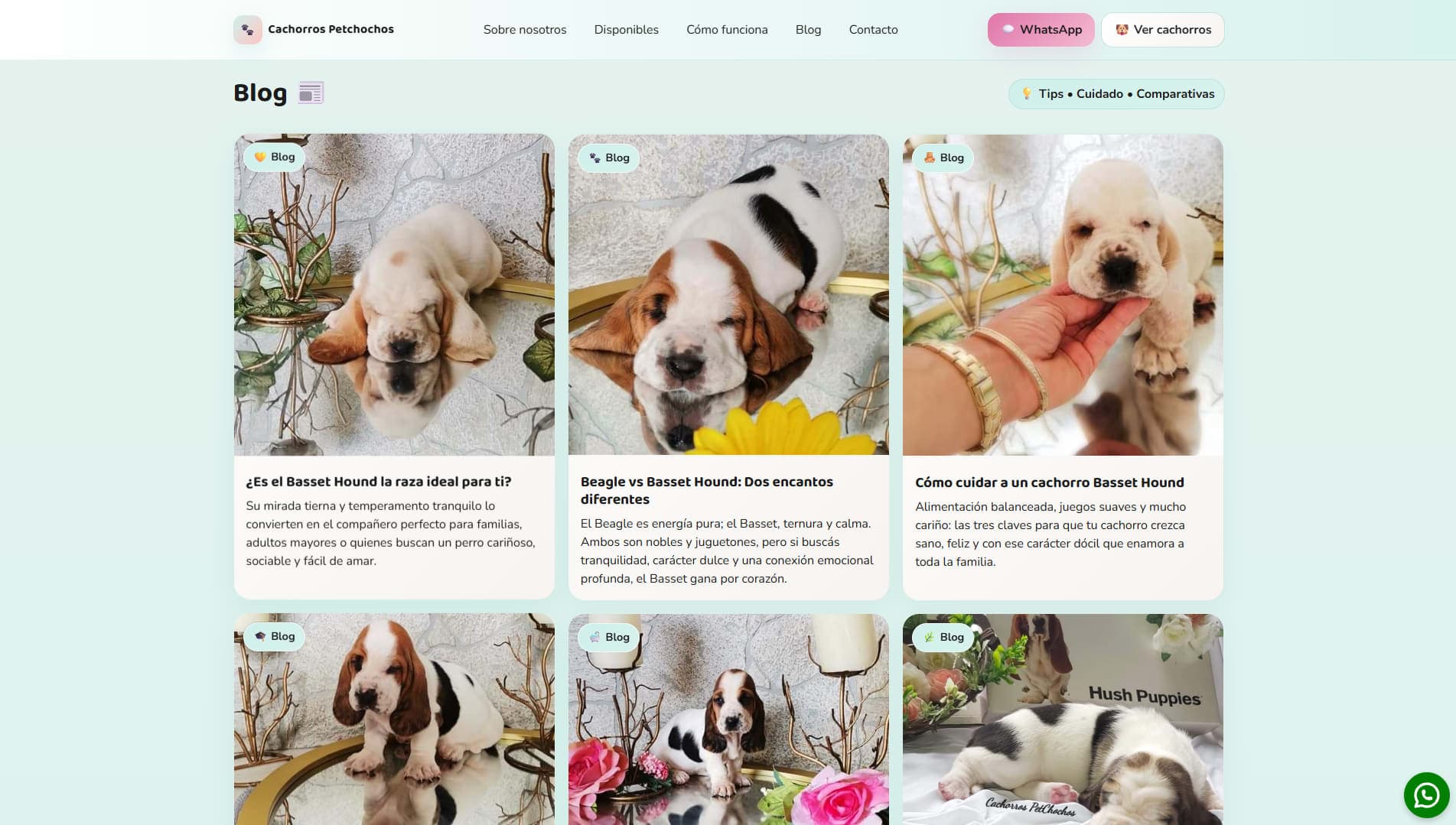 Cachorros Petchochos 1